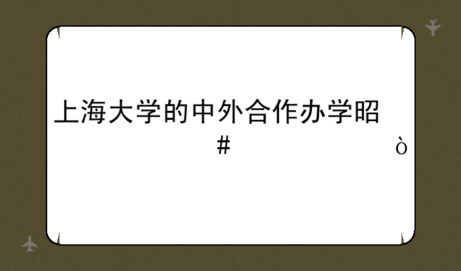 上海大学的中外合作办学是什么情况？